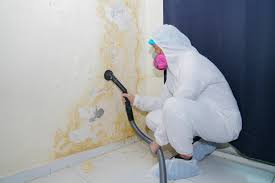 Best Attic Mold Removal  in Clinton, WA